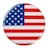 Flag Icon